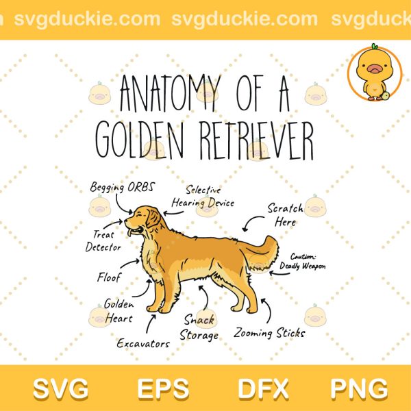 Funny Anatomy A Golden Dog Lover SVG, Anatomy Of A Golden Retriever Dog Lover SVG PNG EPS DXF